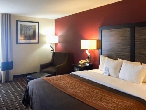 Quality Inn Edmund Pettus Bridge Area image 6